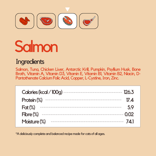 Organic Salmon Wet Food (Box Edition / 85g x 16 packs)