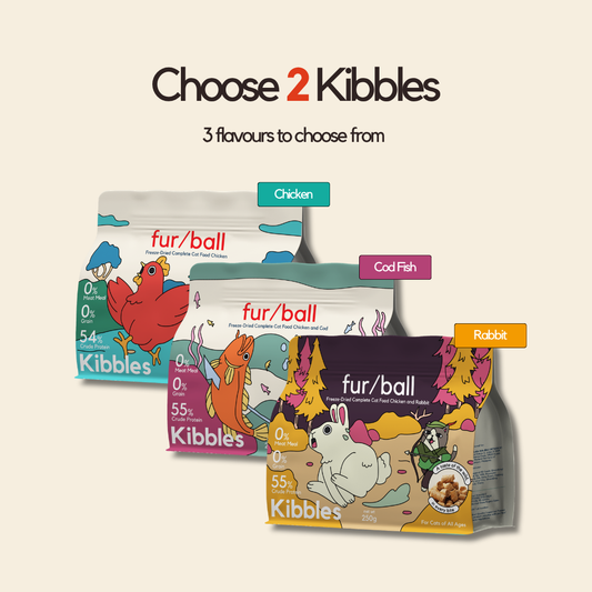 Protein Kibble Duo Value Pack 500g