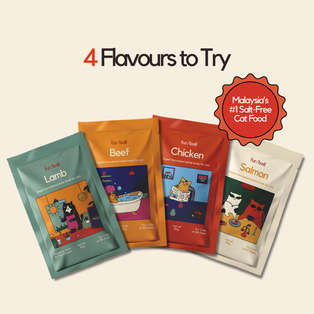 New Cat Parent Kit - Wet Food & Topper