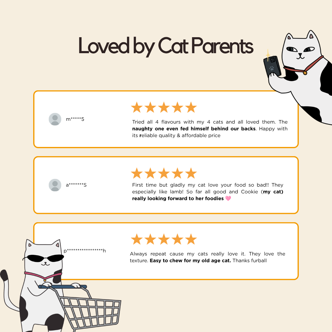Chicken Wet Food (Box Edition - 12 x 85g pouches)