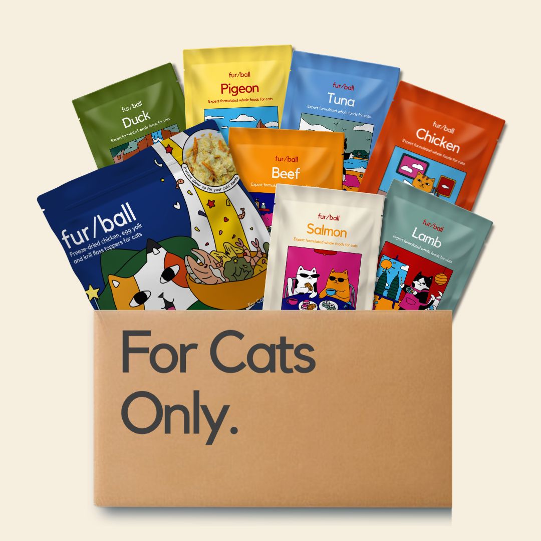 New Cat Parent Kit - Wet Food & Topper