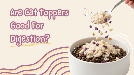 Can Cat Toppers Help Improve Digestion?