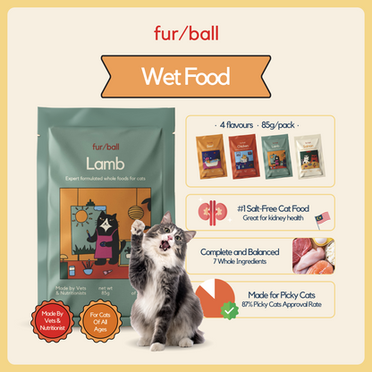 Taster Pack (8 packs)