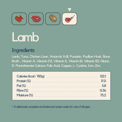 Taster Pack (8 packs)