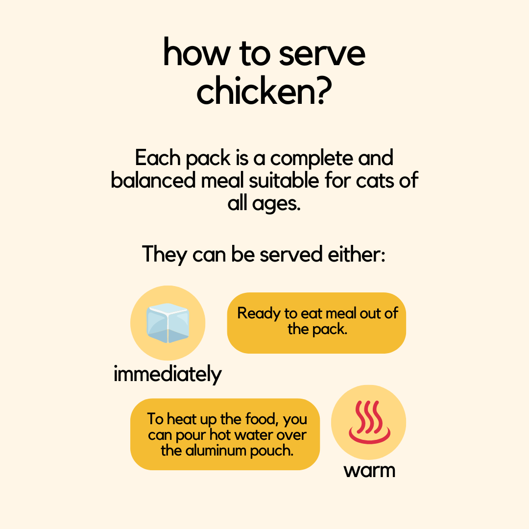 Chicken Wet Cat Food - No More Cat Throwing Up Food - How To Serve Chicken Infographic