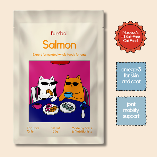 Salmon Wet Food (Box Edition - 12 x 85g pouches)