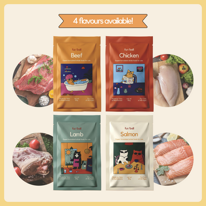 Taster Pack (8 packs)