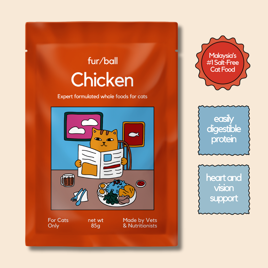 Chicken Wet Food (Box Edition - 12 x 85g pouches)