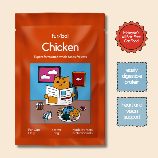 Chicken Wet Food (Box Edition - 12 x 85g pouches)