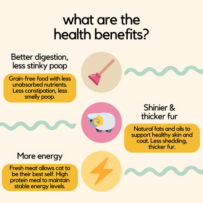 Chicken Wet Cat Food - No More Cat Throwing Up Food - Health Benefits Infographic