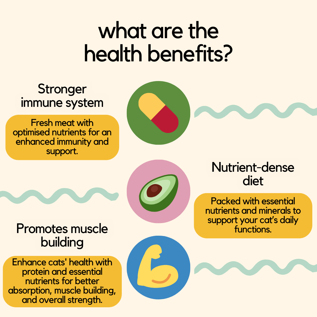 Lamb Wet Cat Food - Healthy Cat Weight Food - Health Benefits Infographic