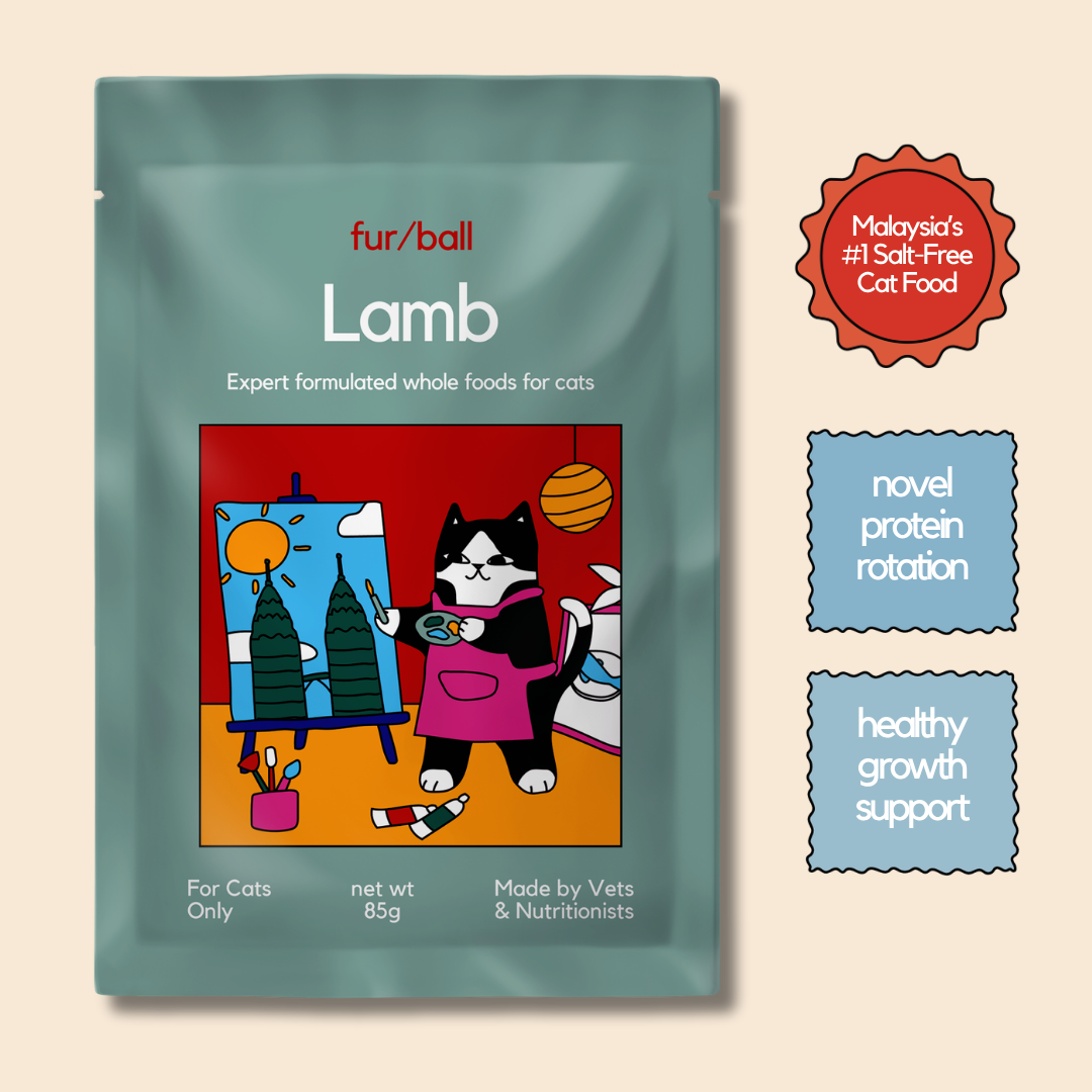 Lamb Wet Food (Box Edition - 12 x 85g pouches)