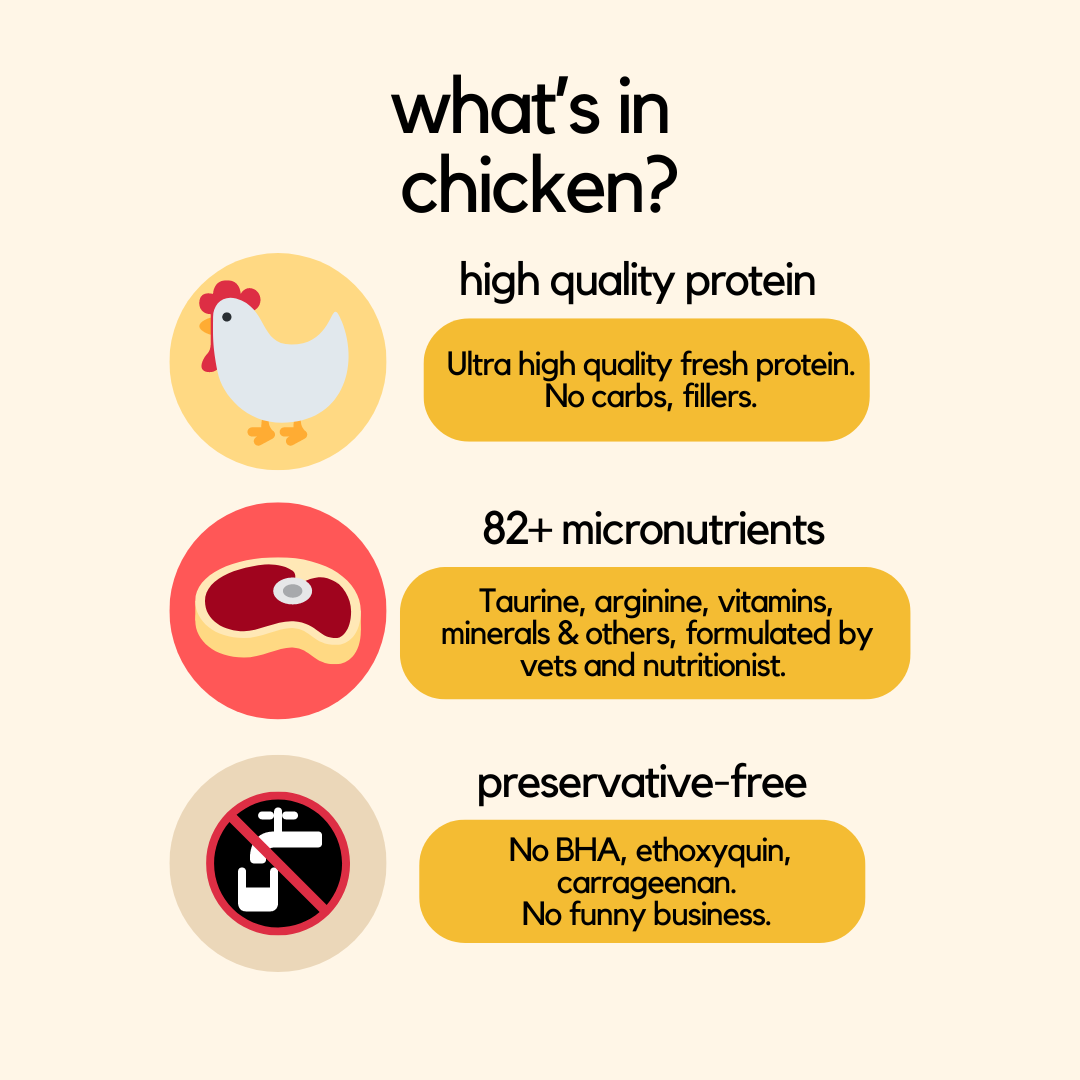 Chicken Wet Cat Food - No More Cat Throwing Up Food - What's In Chicken Pack Infographic