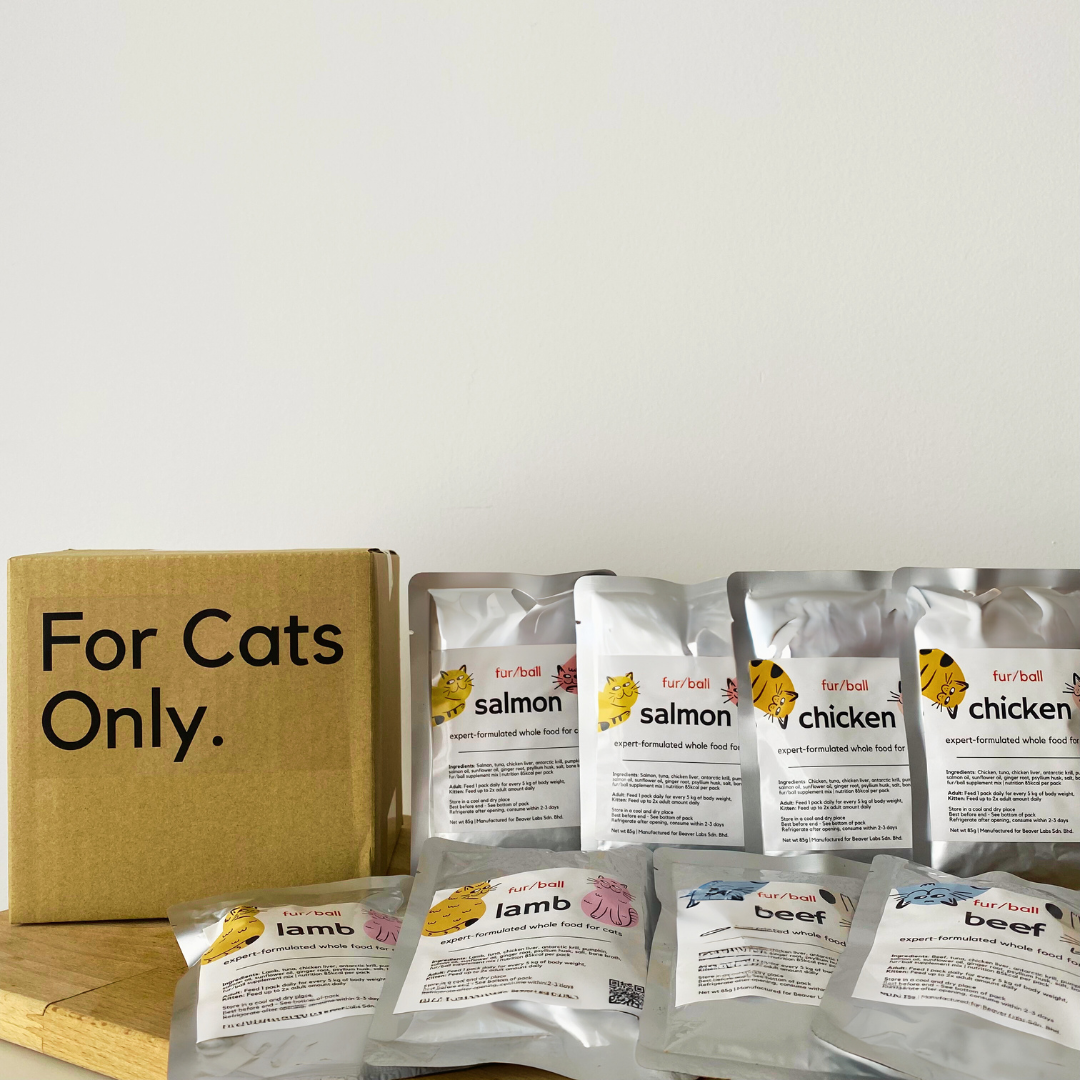 Healthy Cat Weight Wet Taster Pack Cat Food - No More Cat Vomiting Cat Food - Front