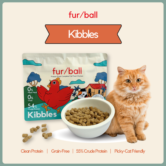 Kibbles - Chicken