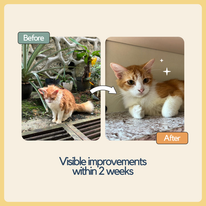 Organic Mix & Match Pack (14-36 packs)