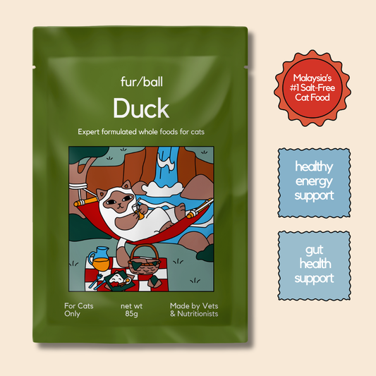 Duck Wet Food (Box Edition - 12 x 85g pouches)