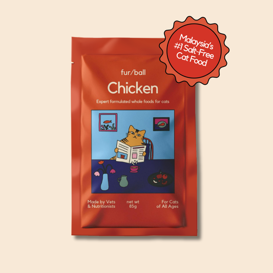 Organic Chicken Wet Food (Box Edition / 85g x 16 packs)
