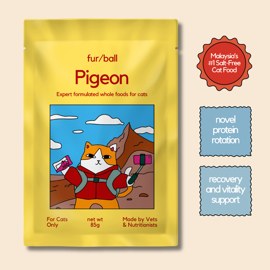 Pigeon Wet Food (Box Edition - 12 x 85g pouches)