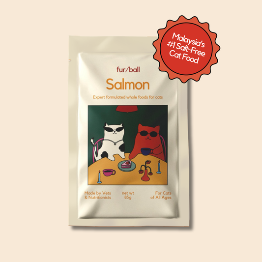 Organic Salmon Wet Food (Box Edition / 85g x 16 packs)