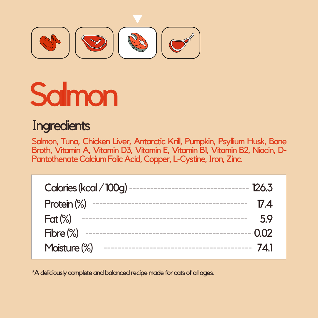 Salmon Wet Food (Box Edition / 85g x 16 packs)