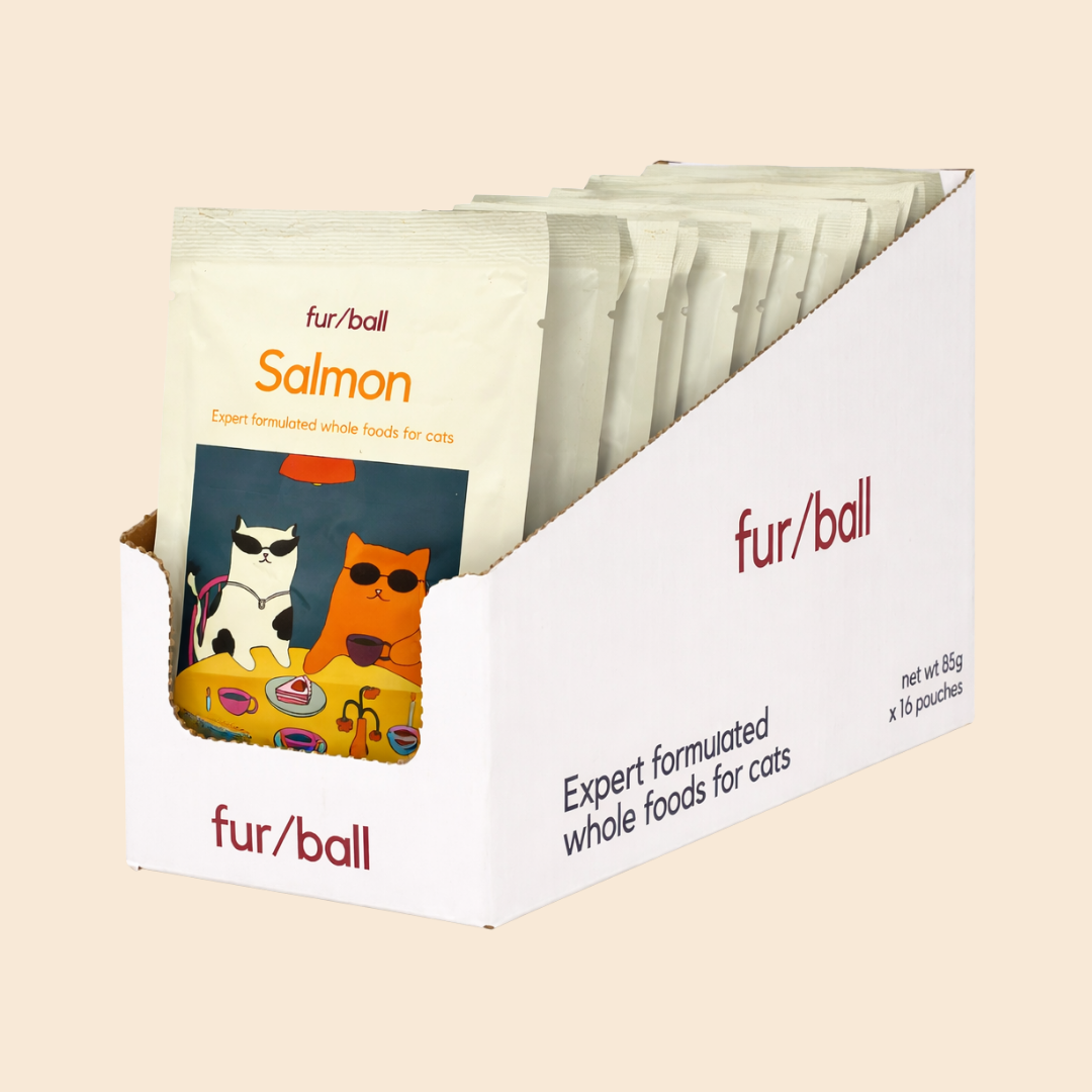 Salmon Wet Food (Box Edition / 85g x 16 packs)
