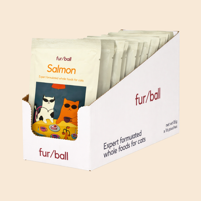 Salmon Wet Food (Box Edition / 85g x 16 packs)