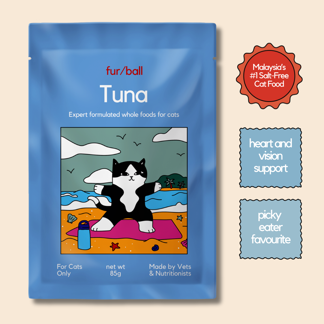 Tuna Wet Food (Box Edition - 12 x 85g pouches)