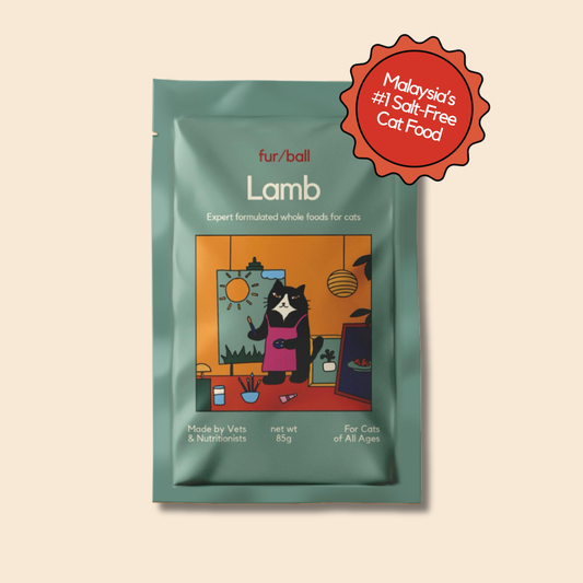 Organic Lamb Wet Food (Box Edition / 85g x 16 packs)