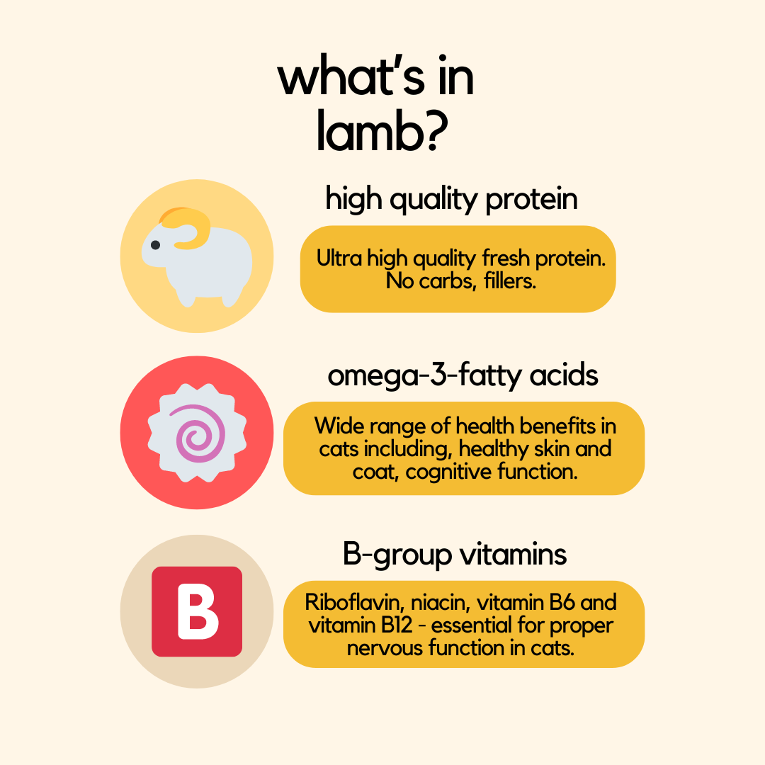 Lamb Wet Cat Food - Healthy Cat Weight Food - What's In Lamb Pack Infrograhic