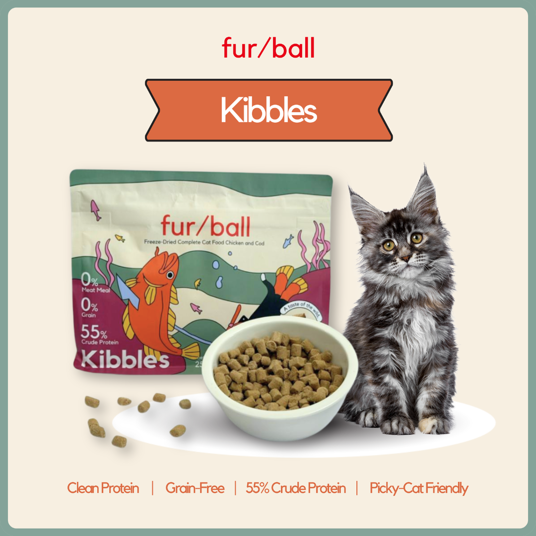 Kibbles - Cod Fish