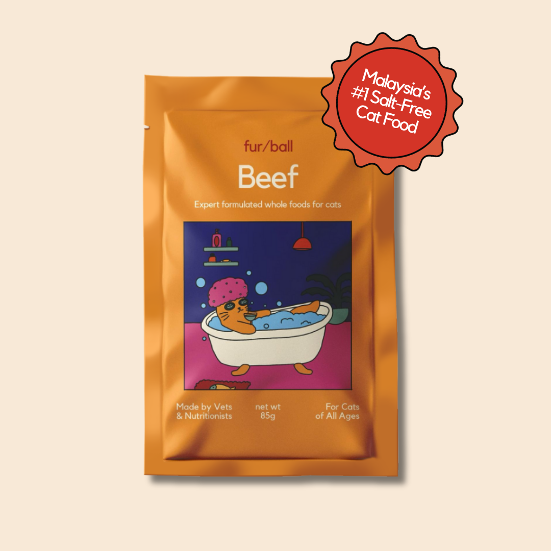 Beef Wet Food (Box Edition / 85g x 16 packs)