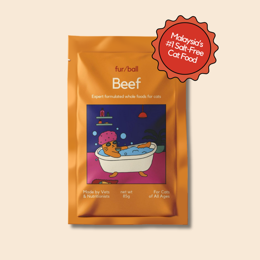 Organic Beef Wet Food (Box Edition / 85g x 16 packs)