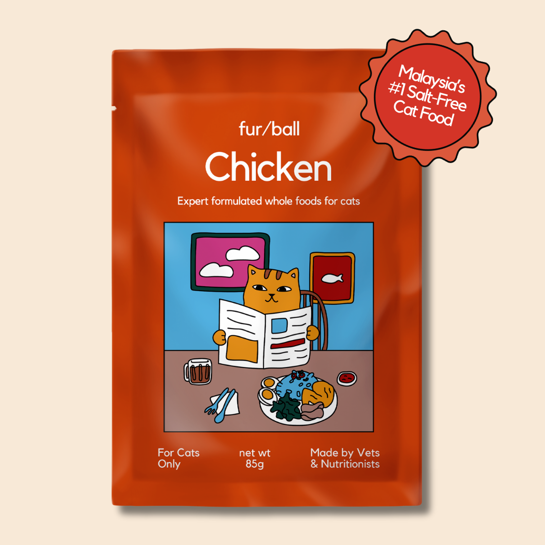Chicken