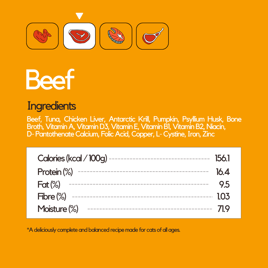 Beef Wet Food (Box Edition / 85g x 16 packs)