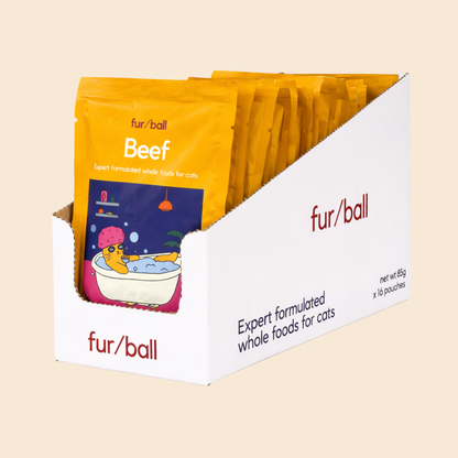 Beef Wet Food (Box Edition / 85g x 16 packs)
