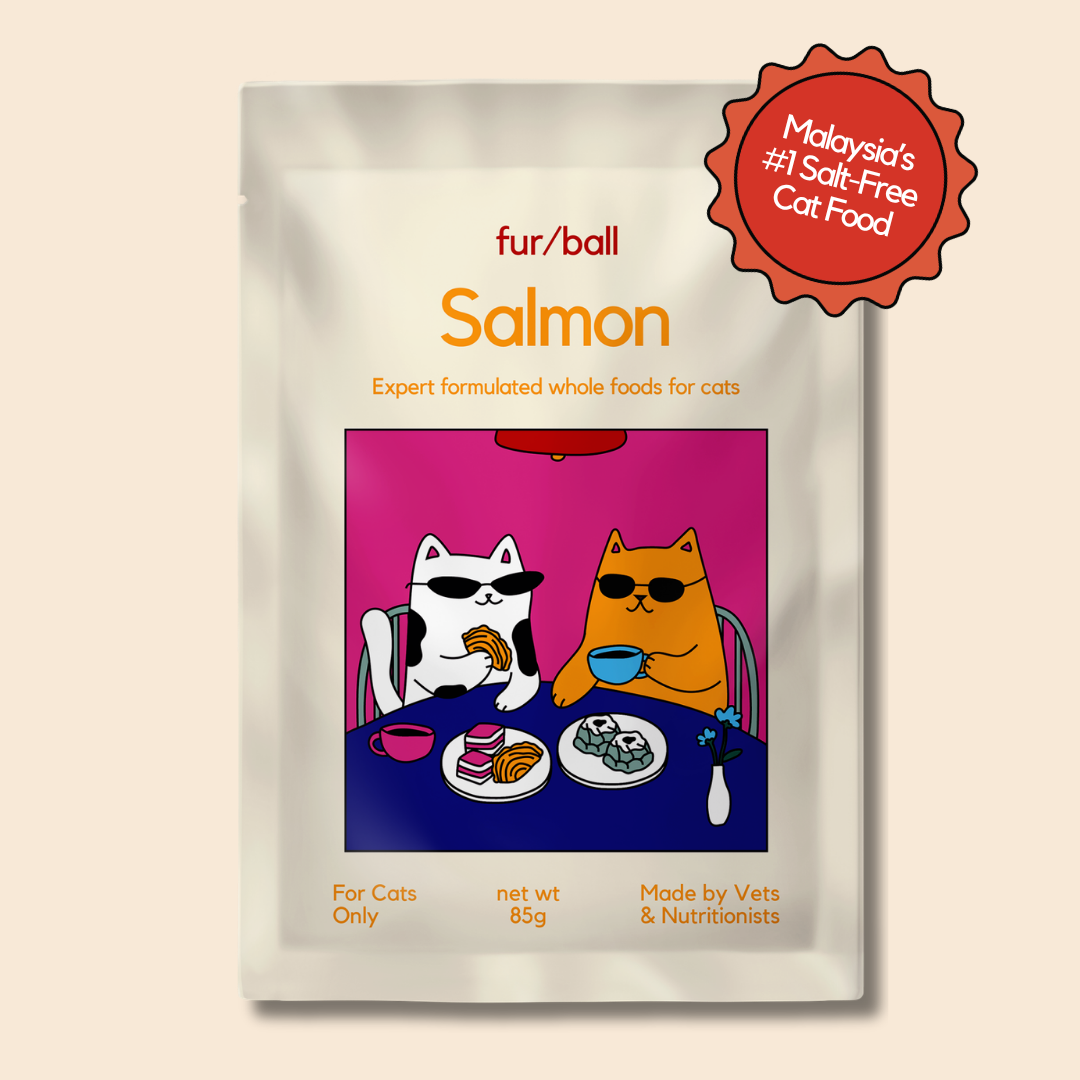 Salmon
