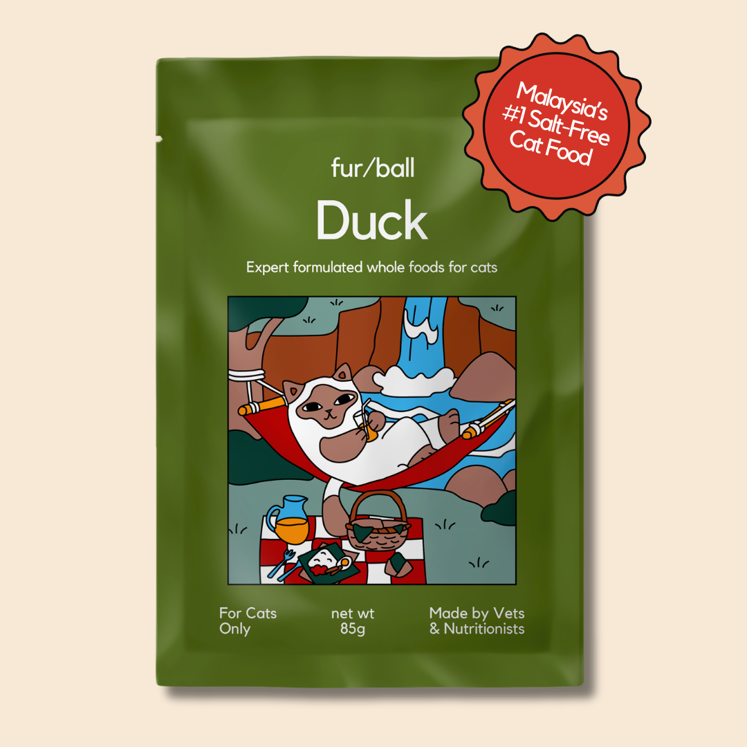 Duck
