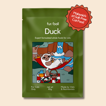 Duck