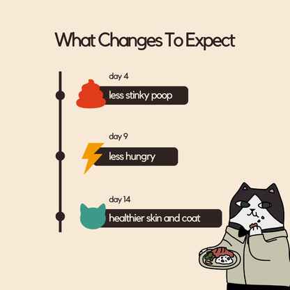 Beef Wet Food (Box Edition / 85g x 16 packs)