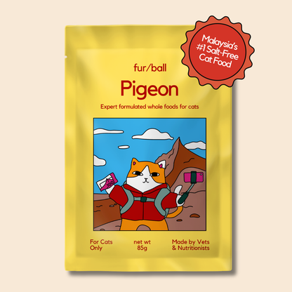 Pigeon