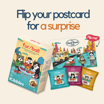 Kibble Trial Pack (7 x 3g packs)