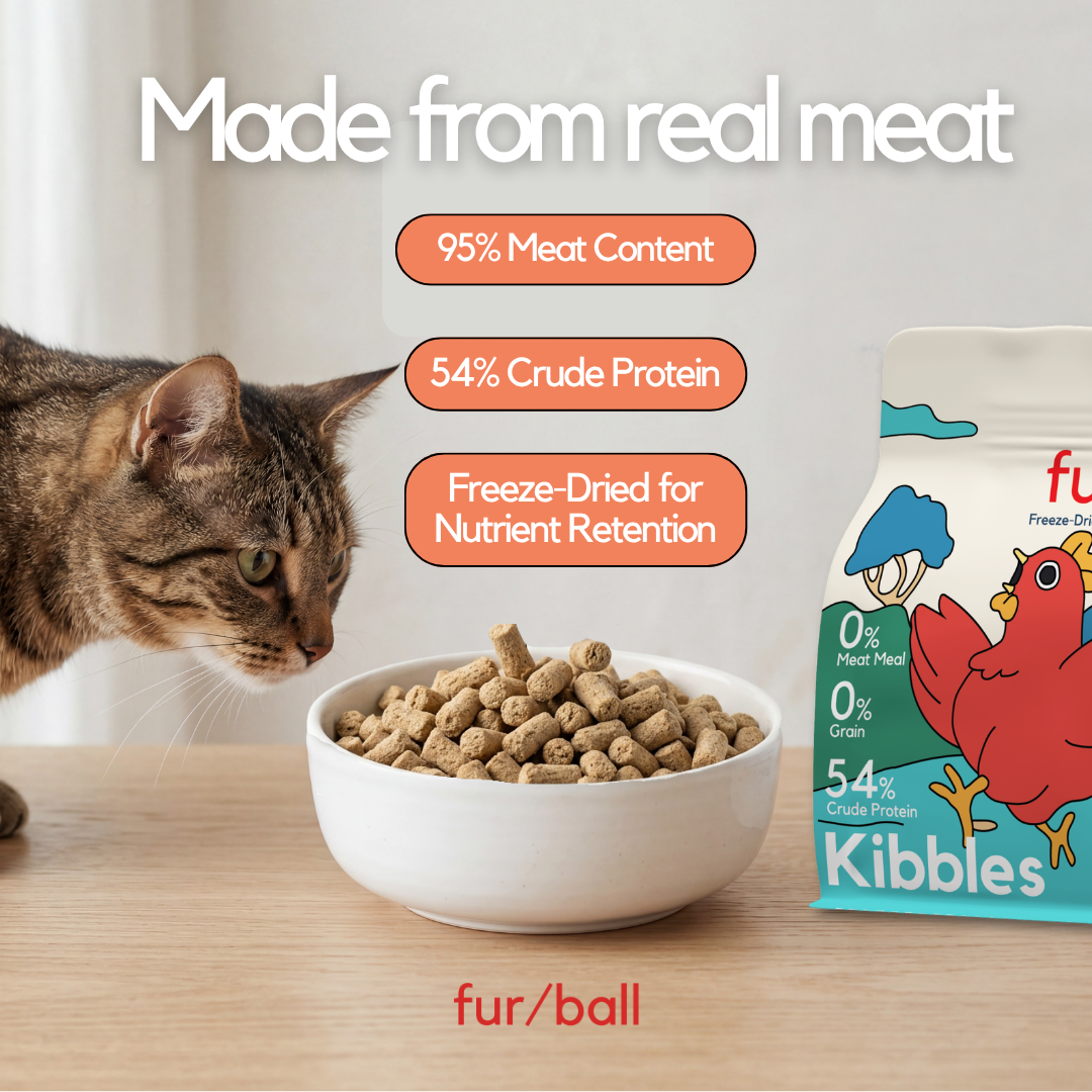 Kibble Trial Pack (7 x 3g packs)