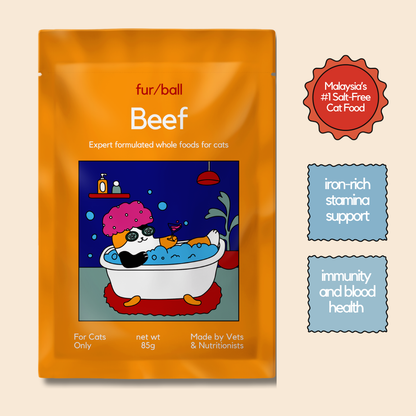 Beef Wet Food (Box Edition - 12 x 85g pouches)