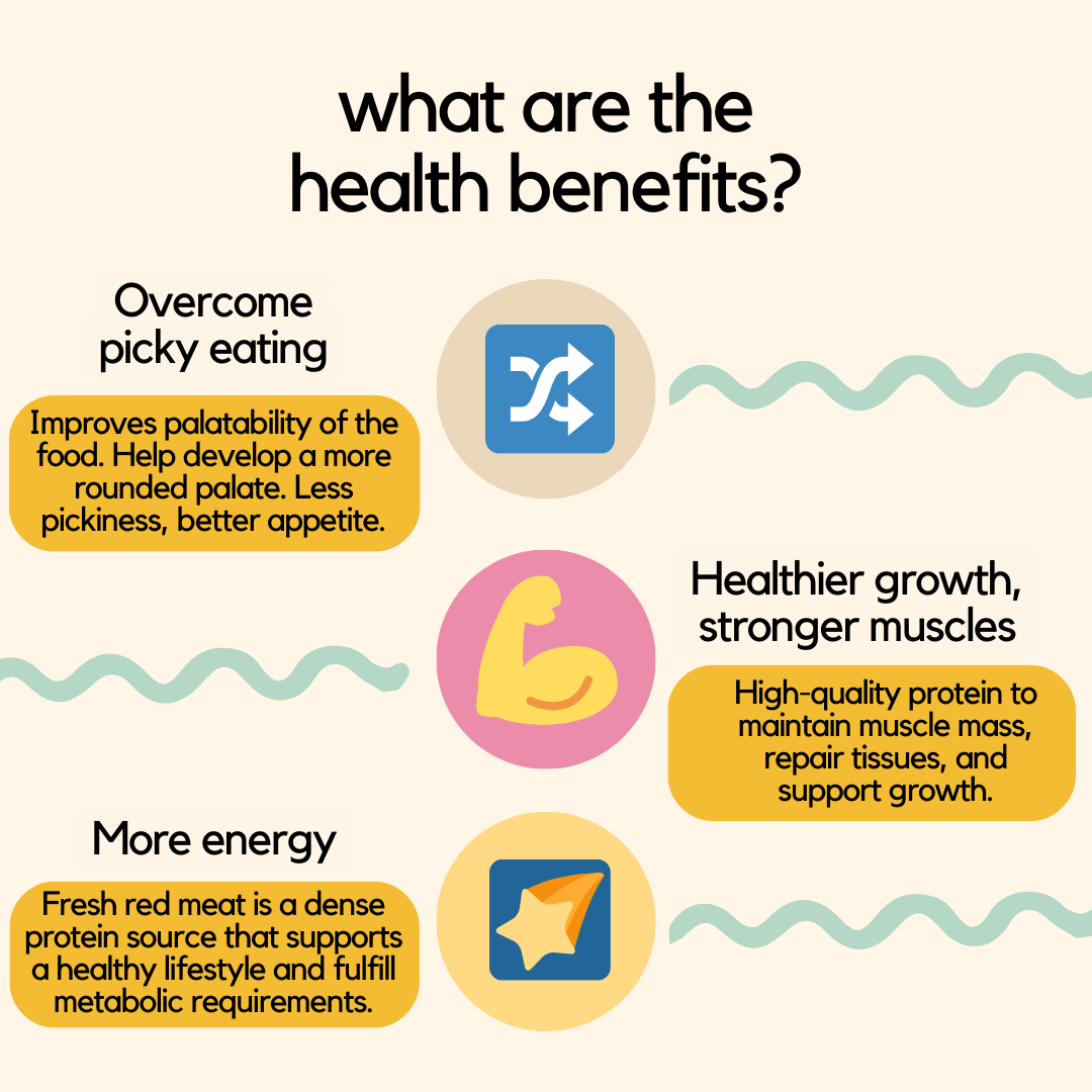 Beef Wet Cat Food - No More Cat Vomiting Food - Health Benefits Infographic