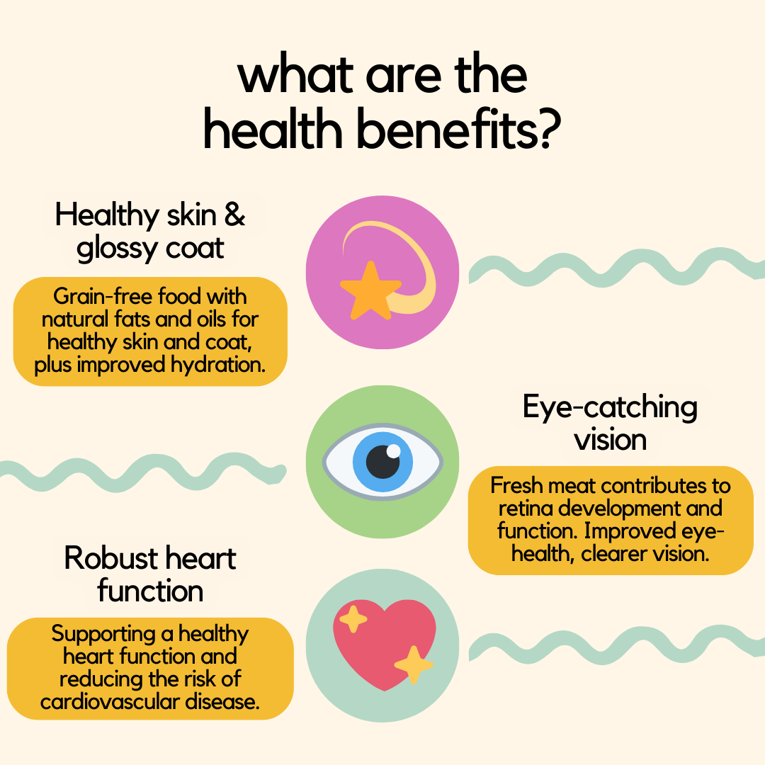 Nutrition guide explaining the health benefits of salmon, the meal pack 