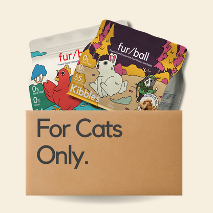 Protein Kibble Duo Value Pack 500g