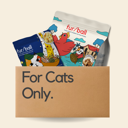 Muscle Growth Protein Chicken Kibbles & Topper