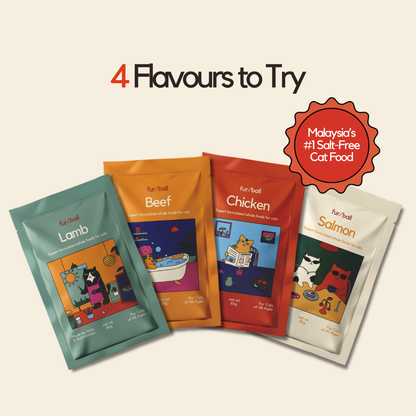 New Cat Parent Kit - Wet Food & Topper