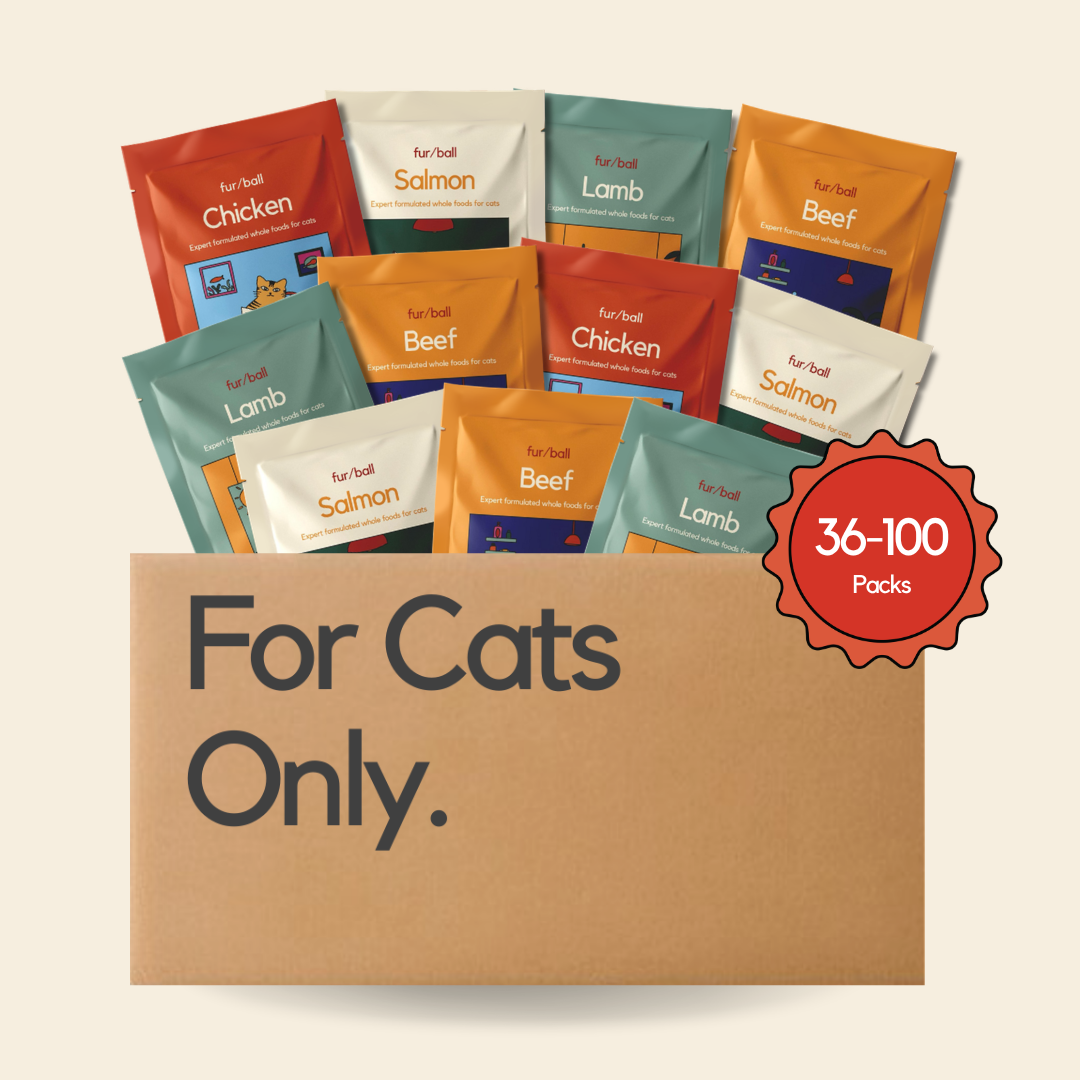 Wet Food Stock-Up Bundle (36-100 packs)